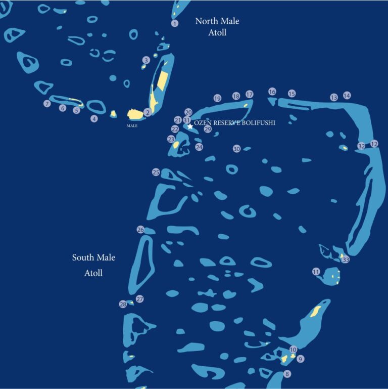 DIVE EXCURSIONS – Ozen Reserve Bolifushi